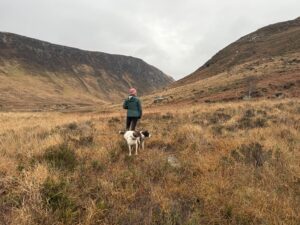 Embracing Unexpected Detours: Lessons from Vanlife